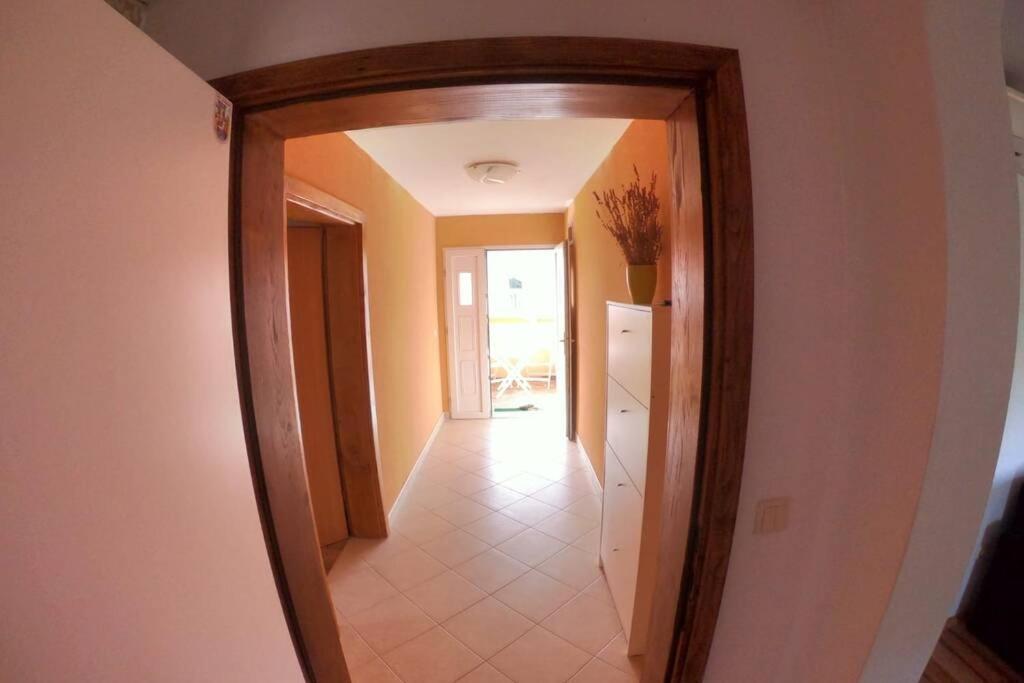 Comfortable Apartment Near Pula Marčana Екстериор снимка